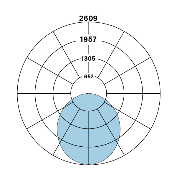 HPT_PSM_2x2_V_835_polarplot
