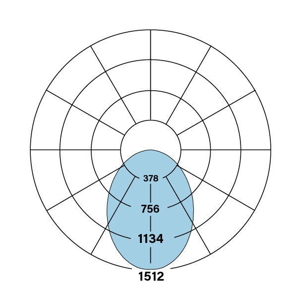 HP-4_WM_D_RG-V-835-F_polarplot