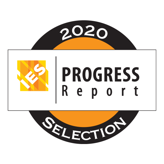 2020 IES Progress Report