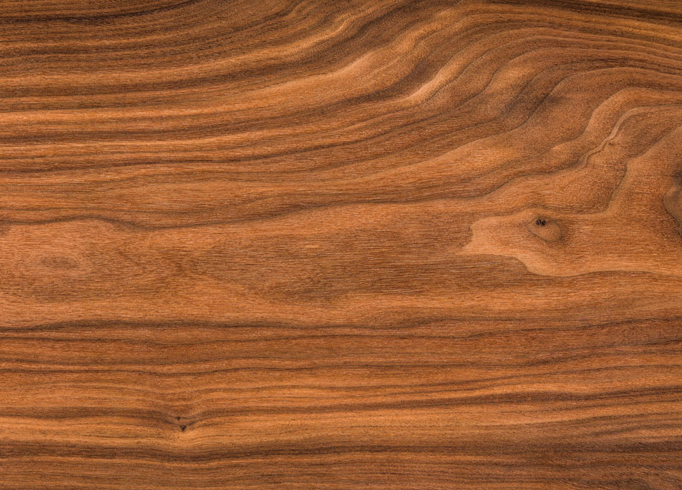 Walnut Swatch