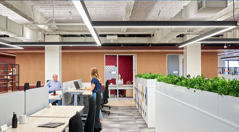Green Office