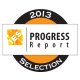 2013 IES Badge