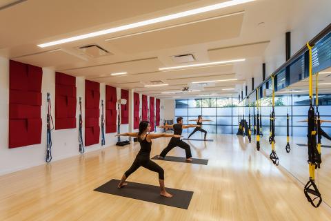 FL-PG-Sym-Fit-3