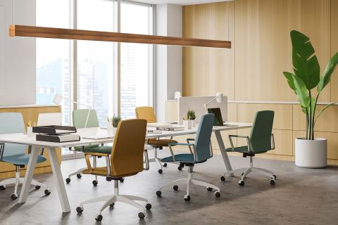 Teak in Collaboration Area