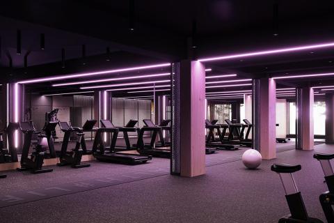 RGB+W in the gym