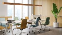 Teak in Collaboration Area