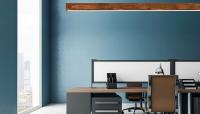Walnut in Teal Office